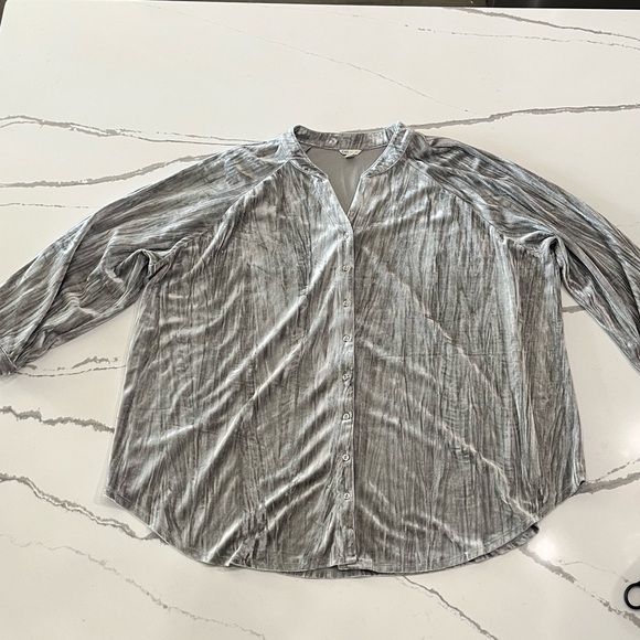 Silver Crushed Velvet Women's Plus Size Button Up Flowy Top Size 26/28W - Picture 5 of 5